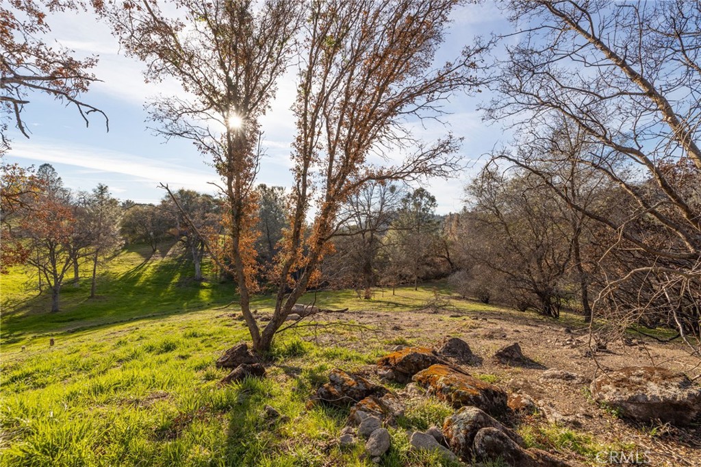 33940 Jennifer Way
