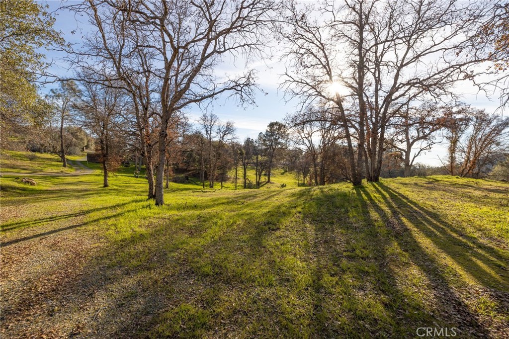 33940 Jennifer Way