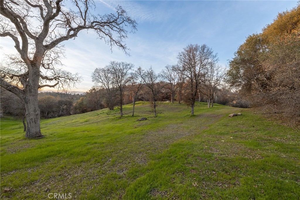 33940 Jennifer Way