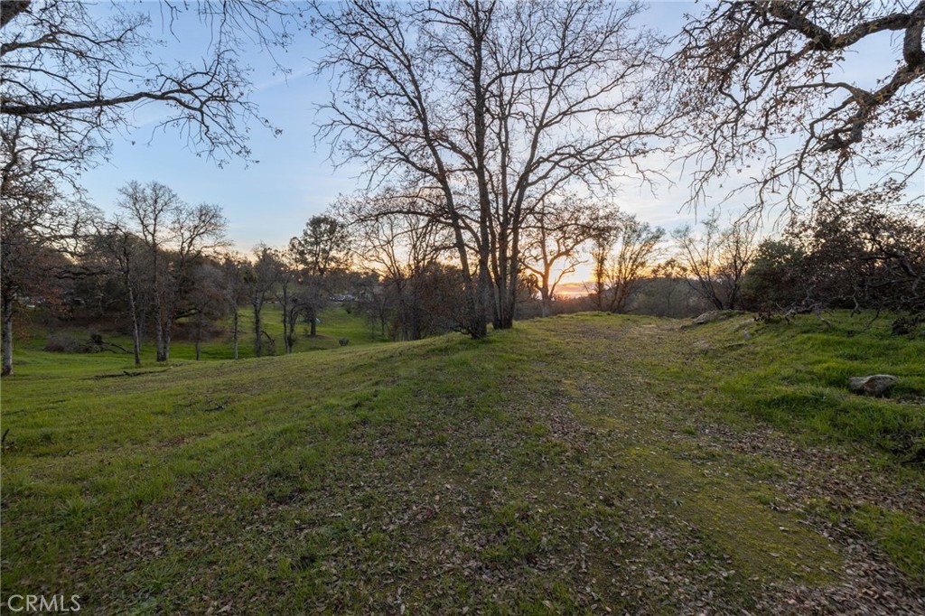 33940 Jennifer Way