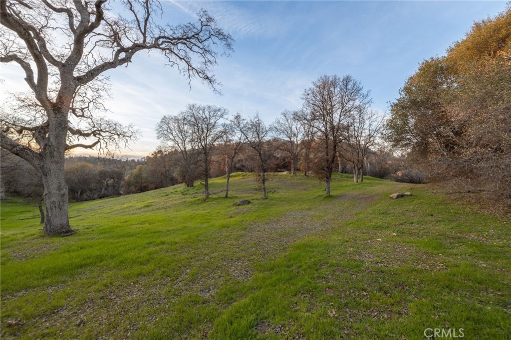 33940 Jennifer Way