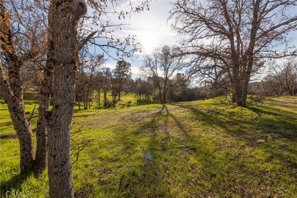 33940 Jennifer Way