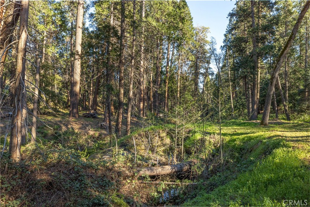 36273 Finegold Creek