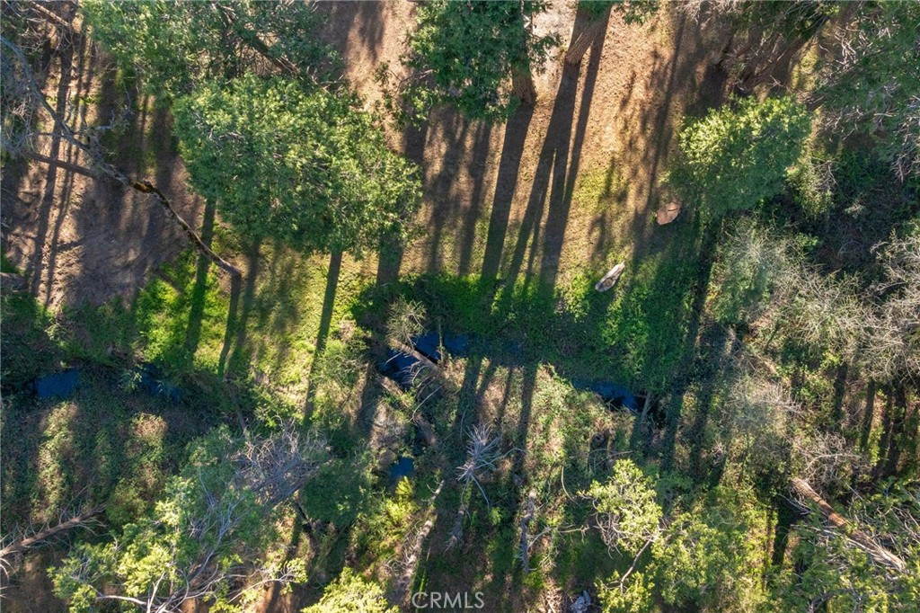 36273 Finegold Creek