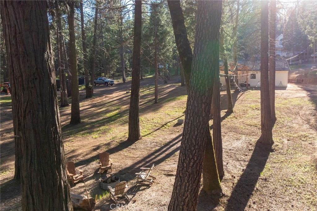 36273 Finegold Creek