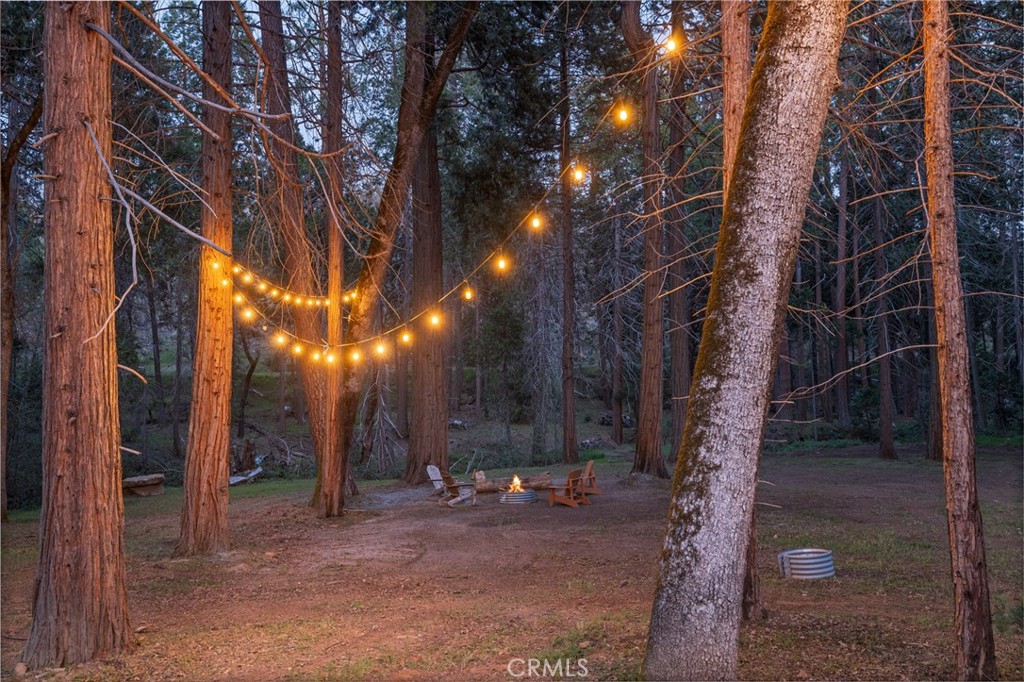 36273 Finegold Creek