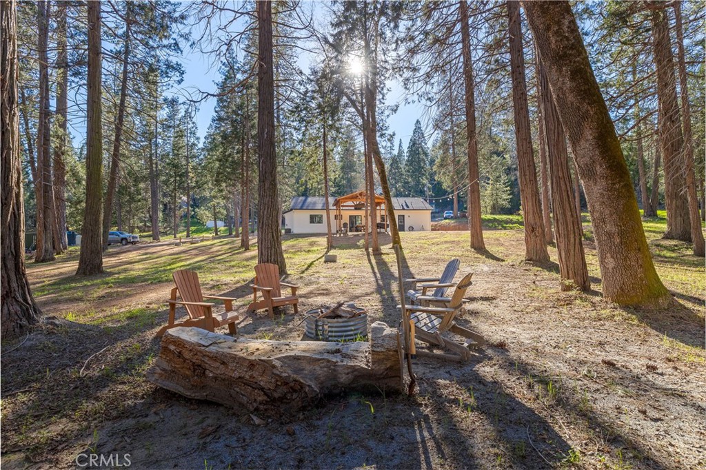 36273 Finegold Creek