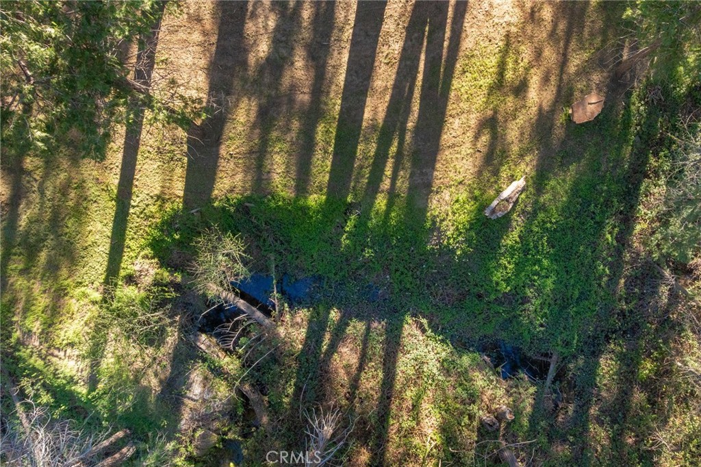 36273 Finegold Creek