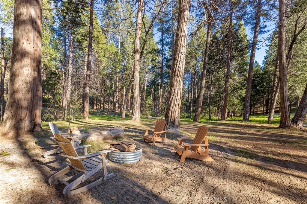 36273 Finegold Creek