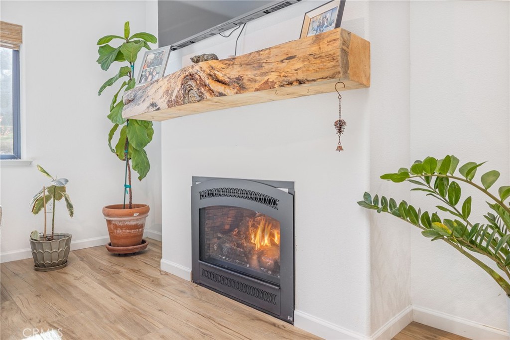 36273 Finegold Creek