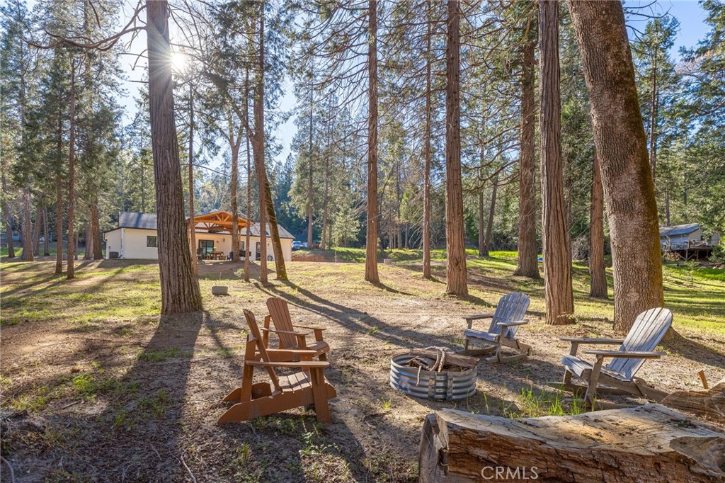 36273 Finegold Creek