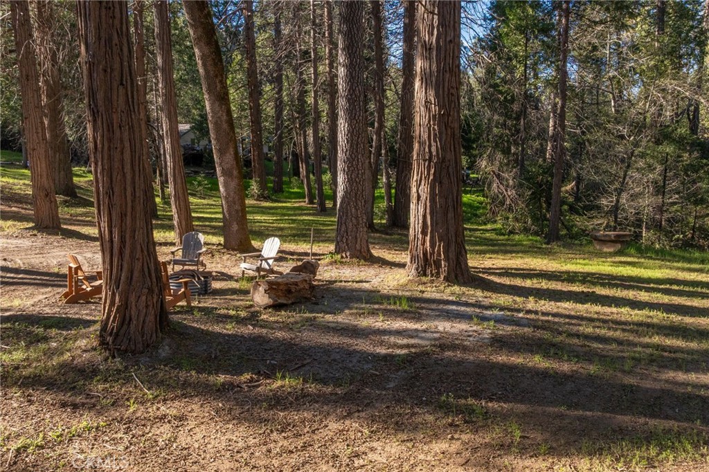 36273 Finegold Creek