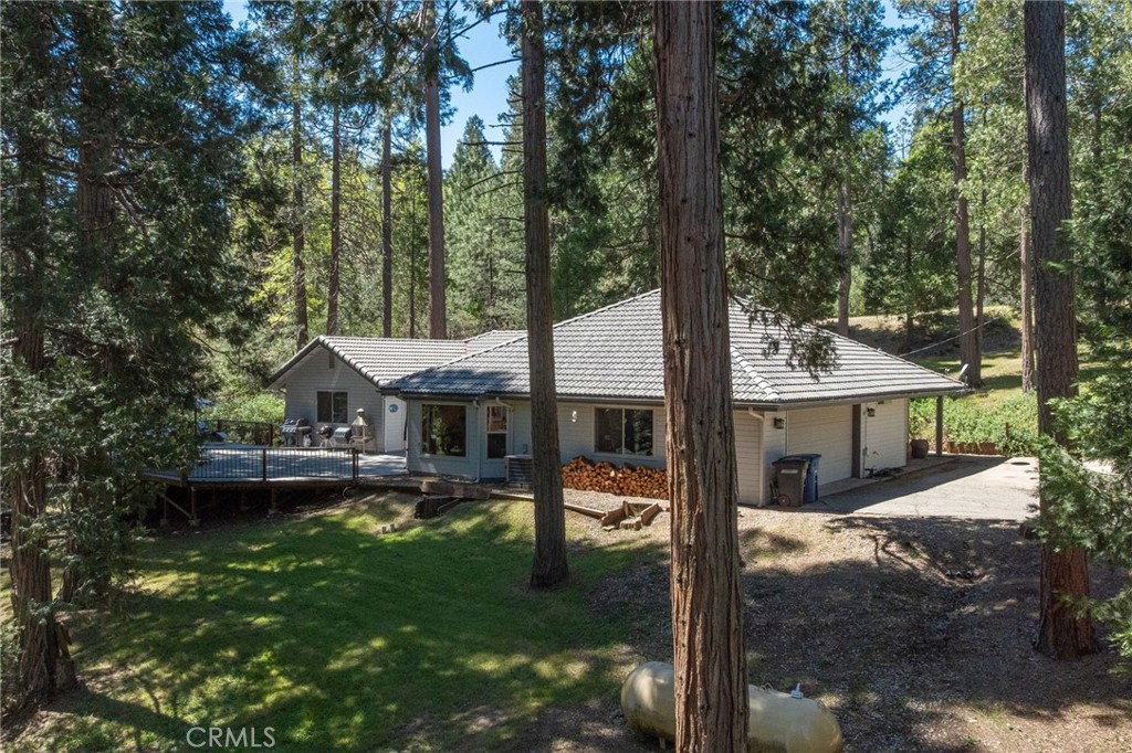 Single-story house among tall evergreens, with a raised deck and a woodpile beside the front wall.