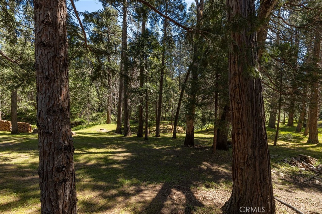 36333 Finegold Creek