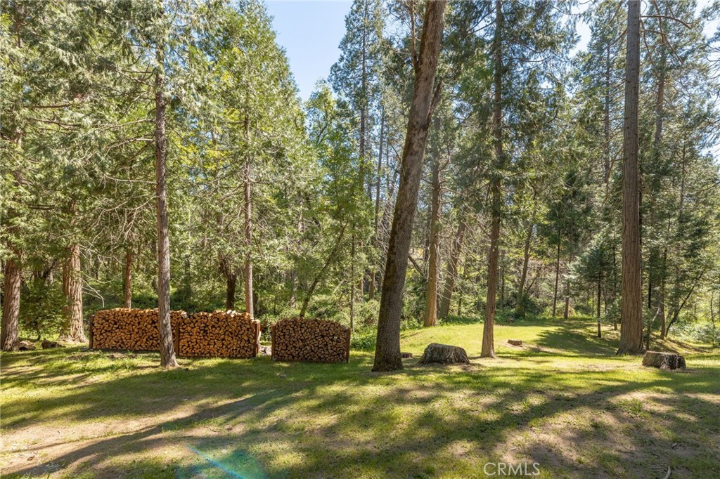 36333 Finegold Creek