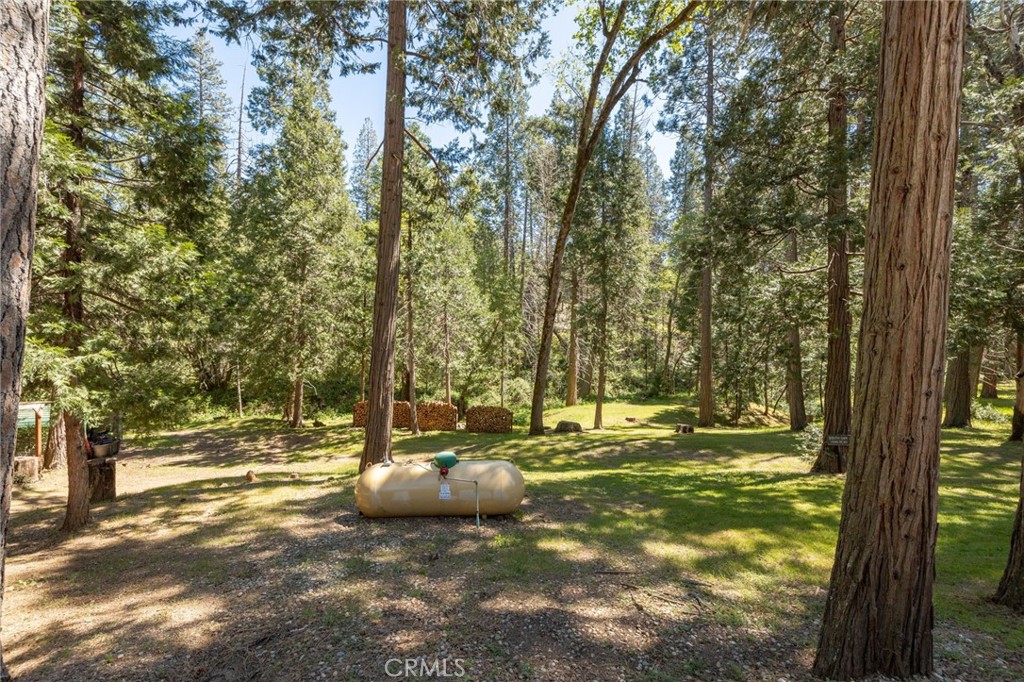 36333 Finegold Creek