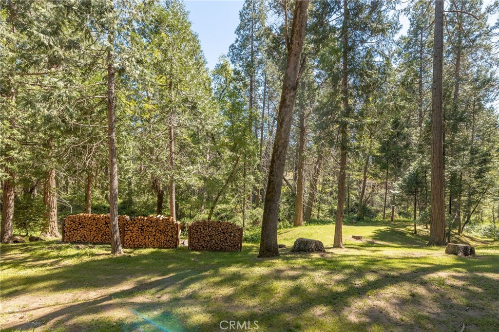36333 Finegold Creek