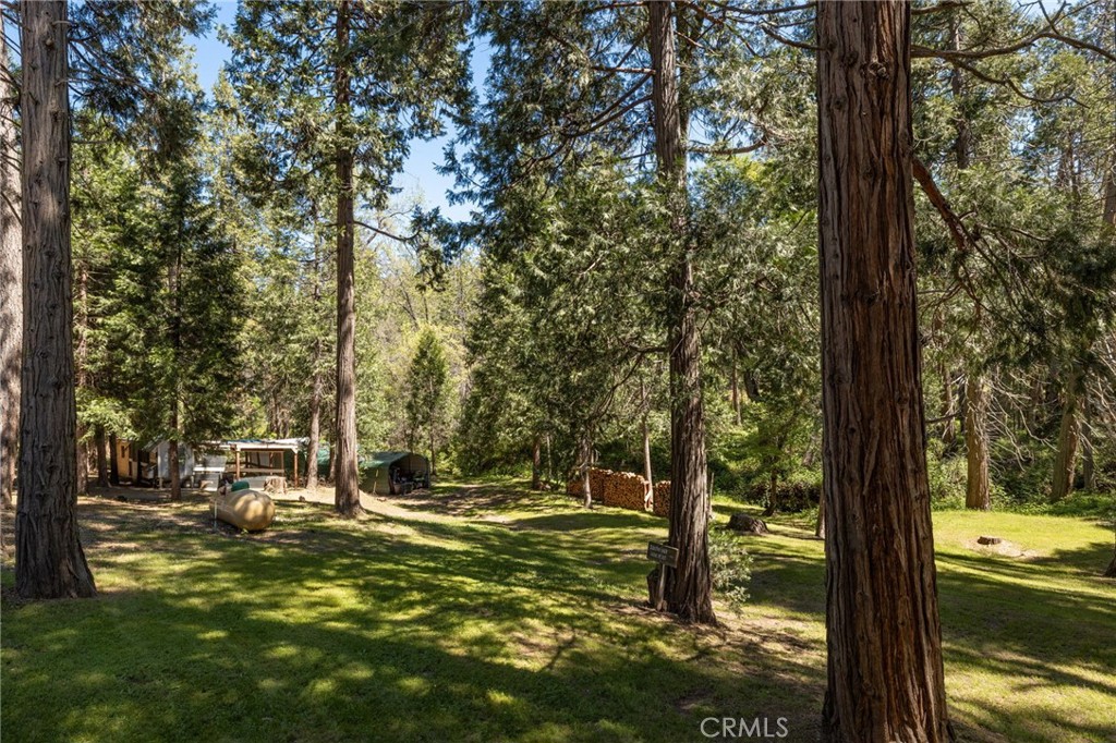36333 Finegold Creek