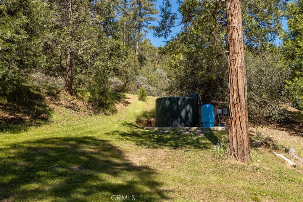 36333 Finegold Creek