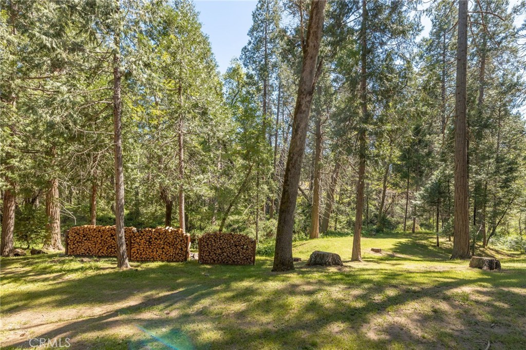 36333 Finegold Creek