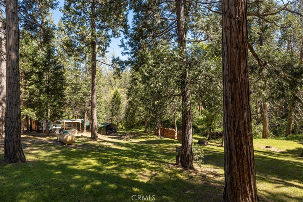 36333 Finegold Creek