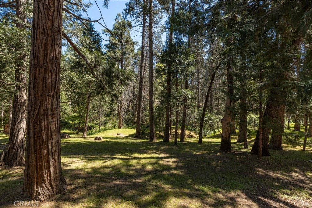 36333 Finegold Creek