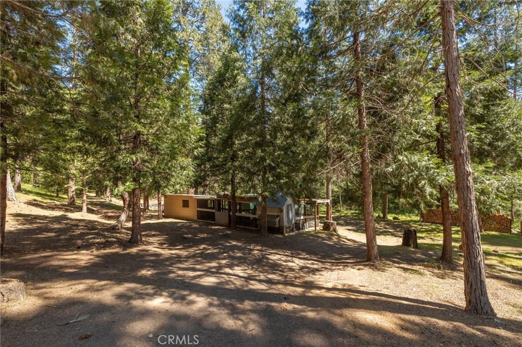 36333 Finegold Creek