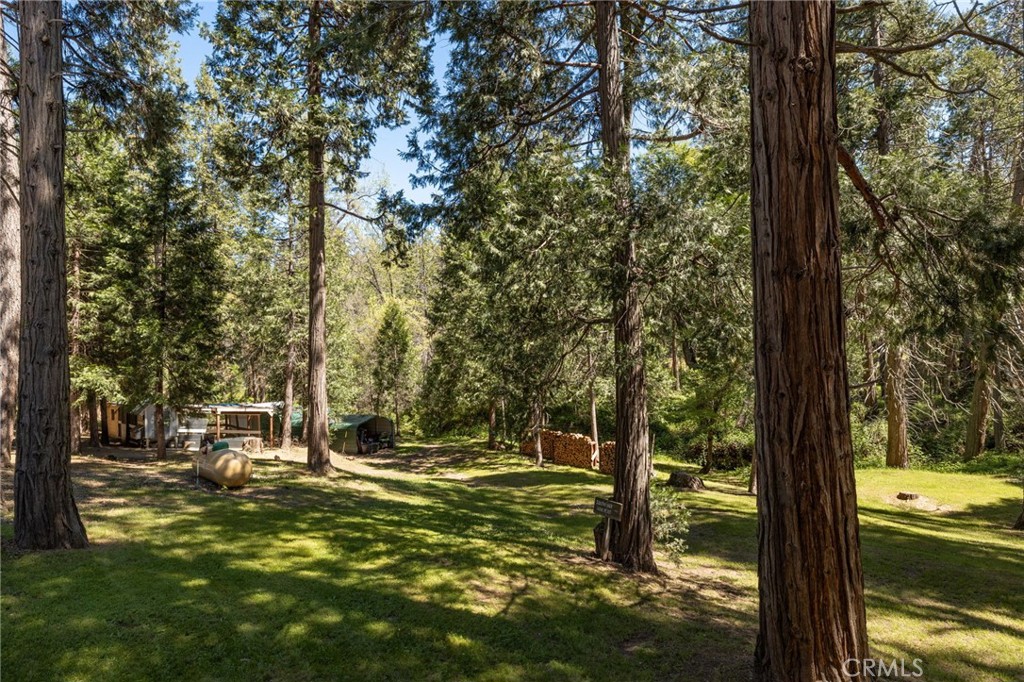 36333 Finegold Creek