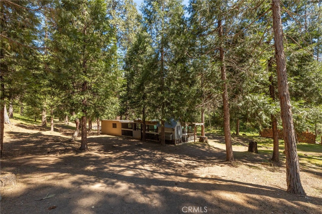 36333 Finegold Creek