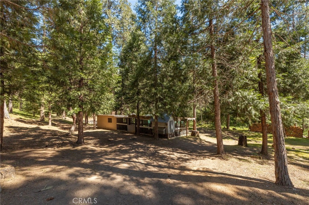 36333 Finegold Creek