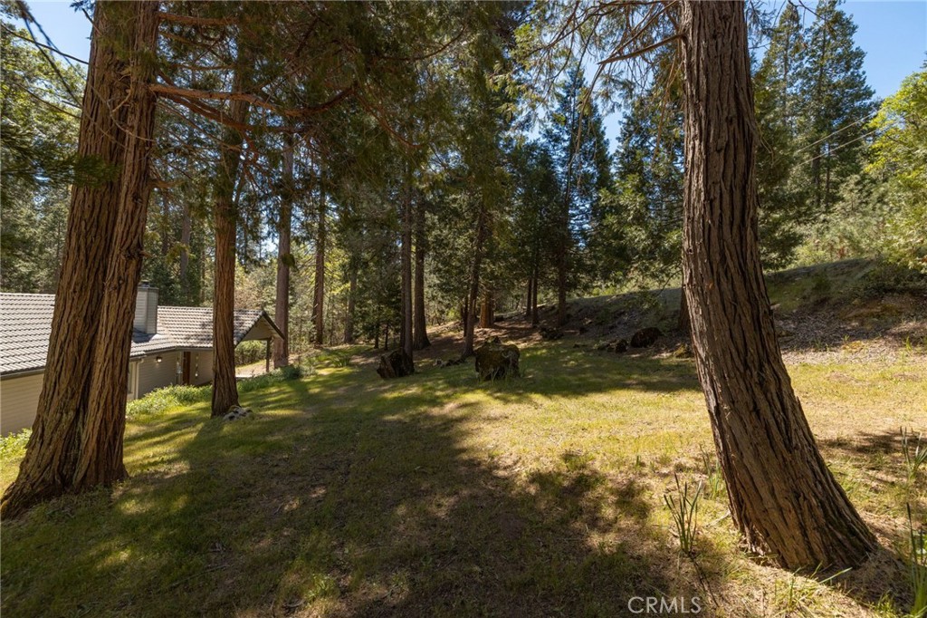 36333 Finegold Creek