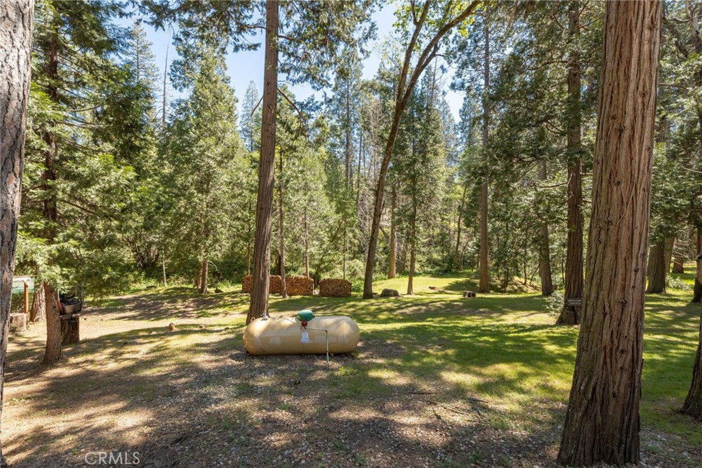 36333 Finegold Creek