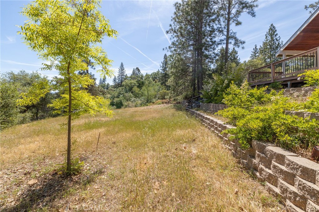 54481 Pinchot Dr.