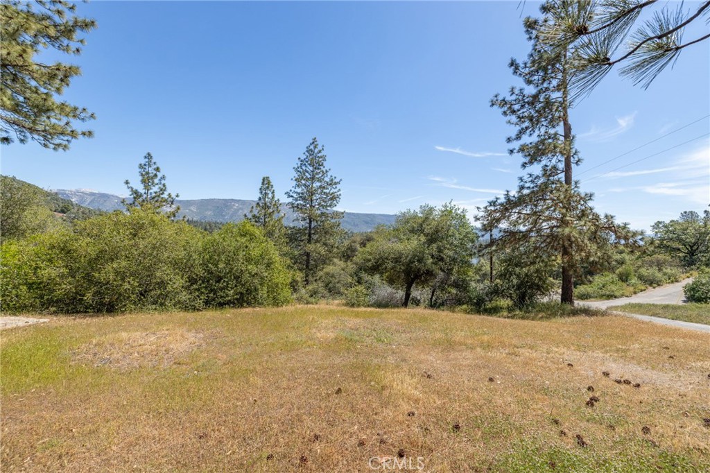 54481 Pinchot Dr.