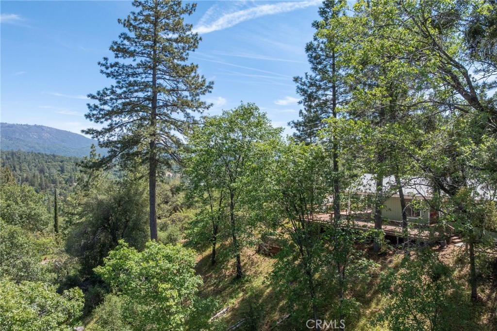 54481 Pinchot Dr.