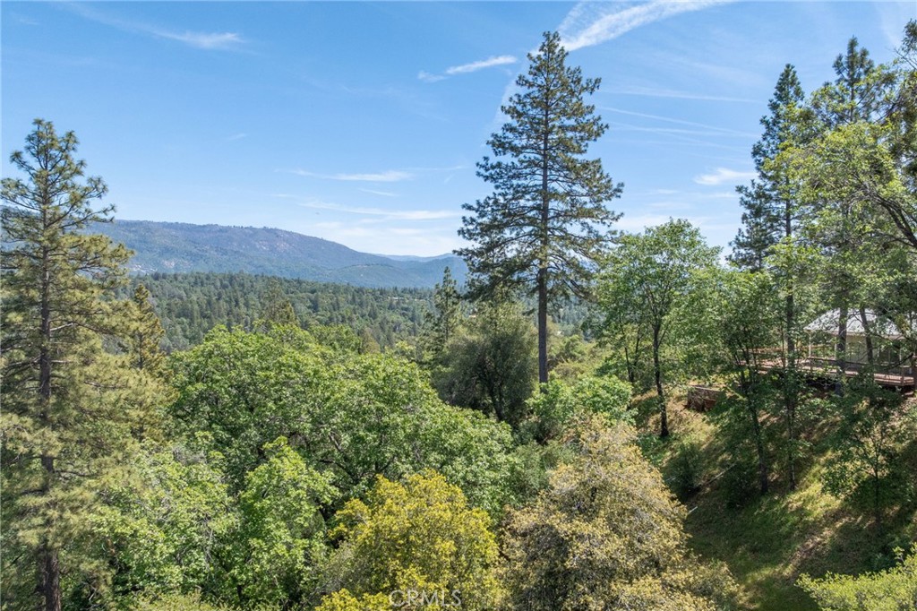 54481 Pinchot Dr.
