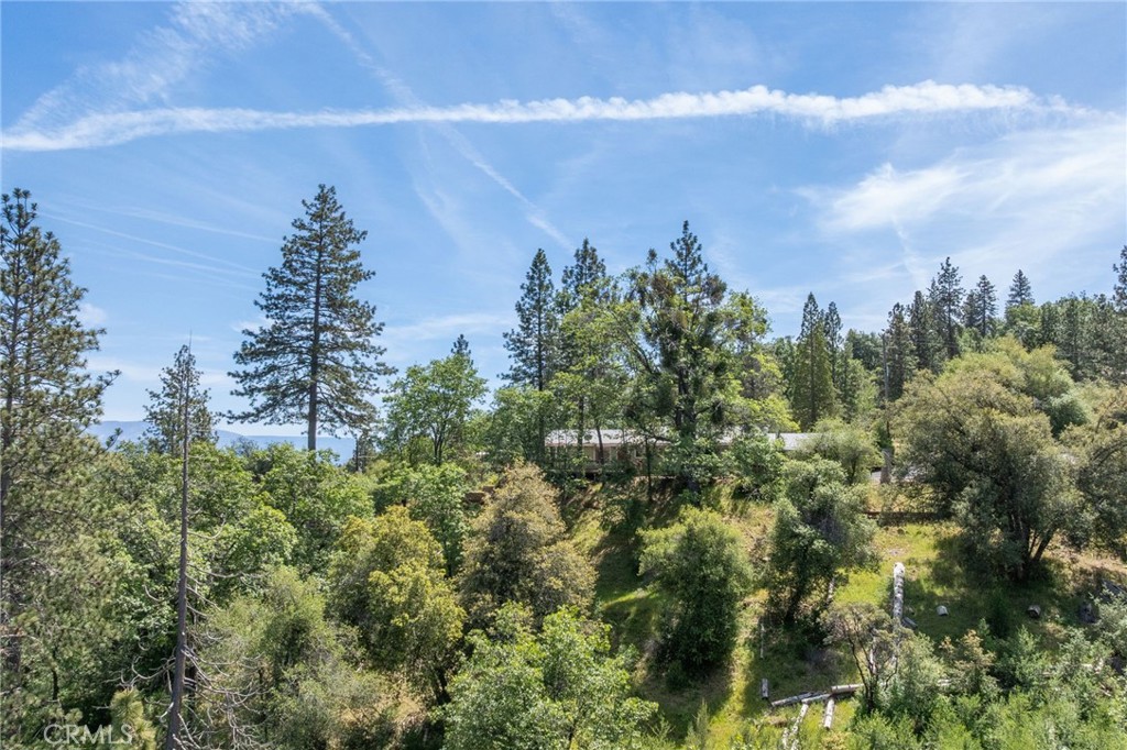 54481 Pinchot Dr.