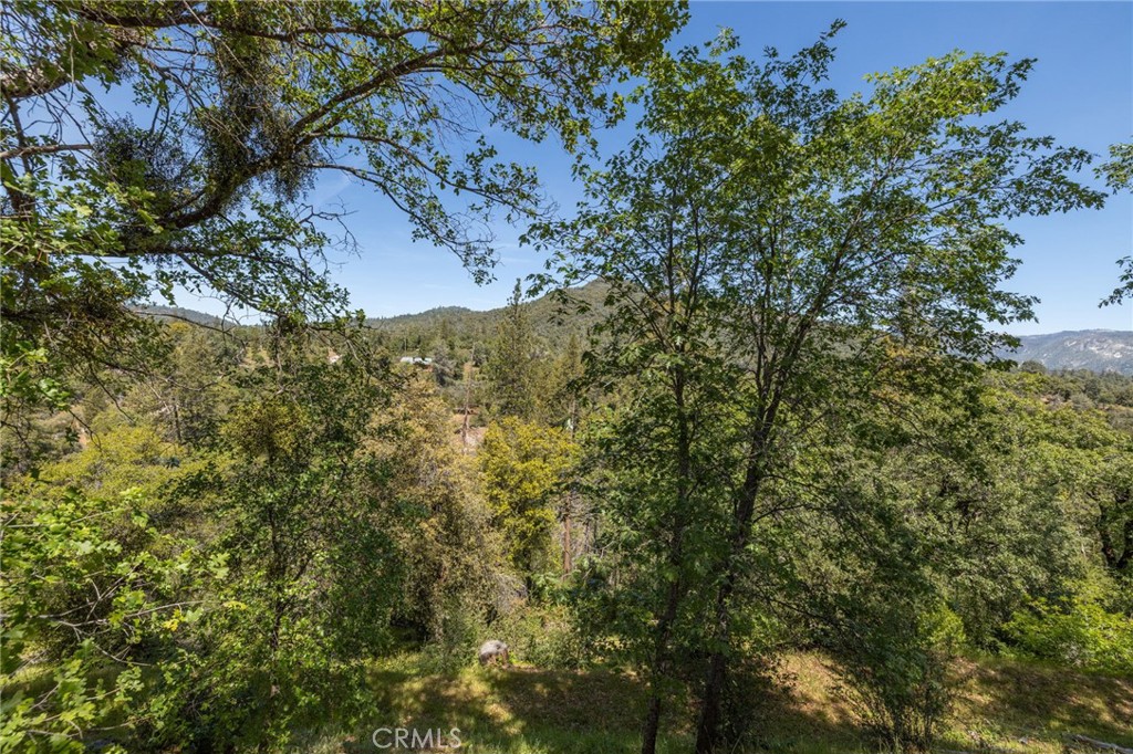 54481 Pinchot Dr.