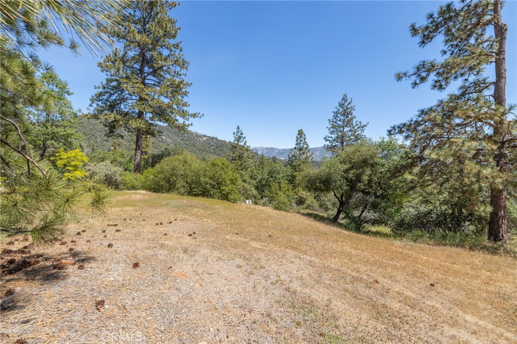 54481 Pinchot Dr.