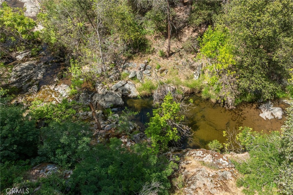 54481 Pinchot Dr.