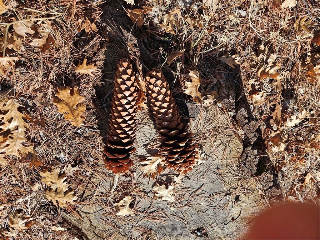 6901 Double Eagle Road