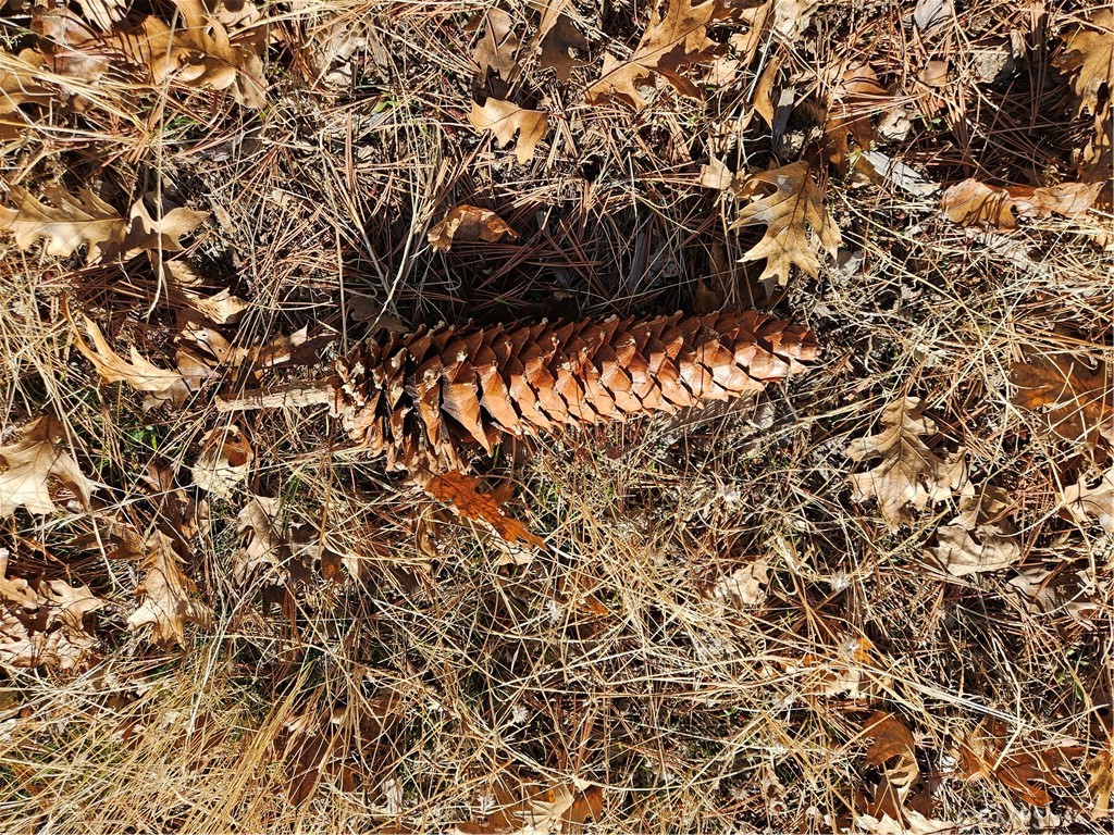 6901 Double Eagle Road