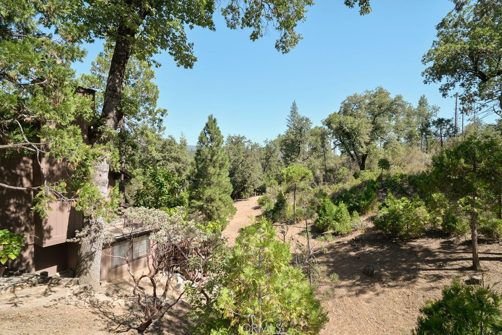 50836 Smoke Tree Trail