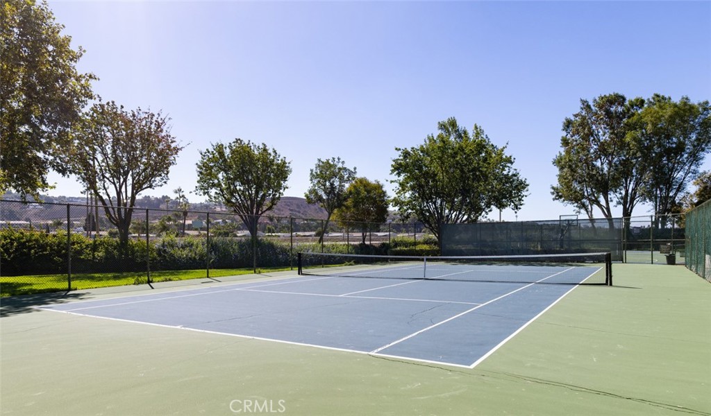 33095 Regatta Court