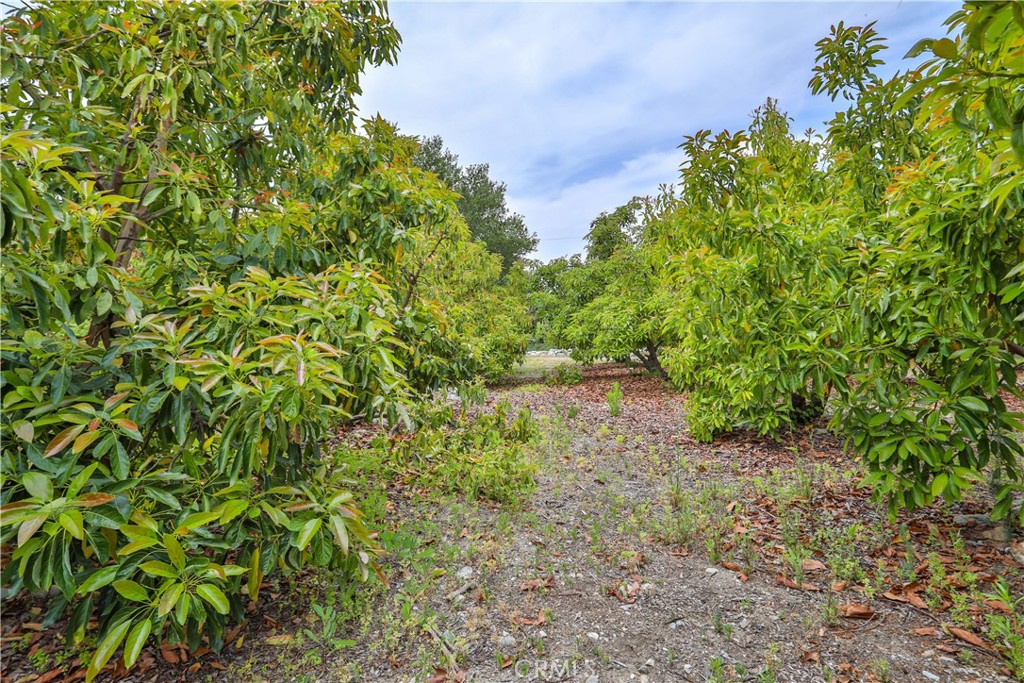 777 E Miramar Avenue