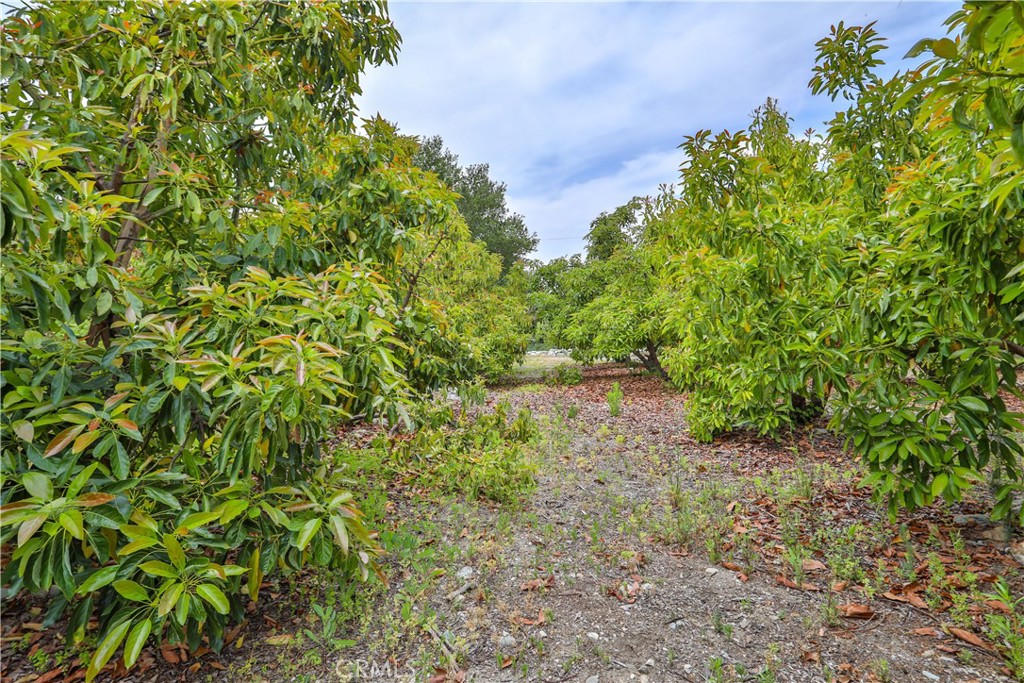 777 E Miramar Avenue