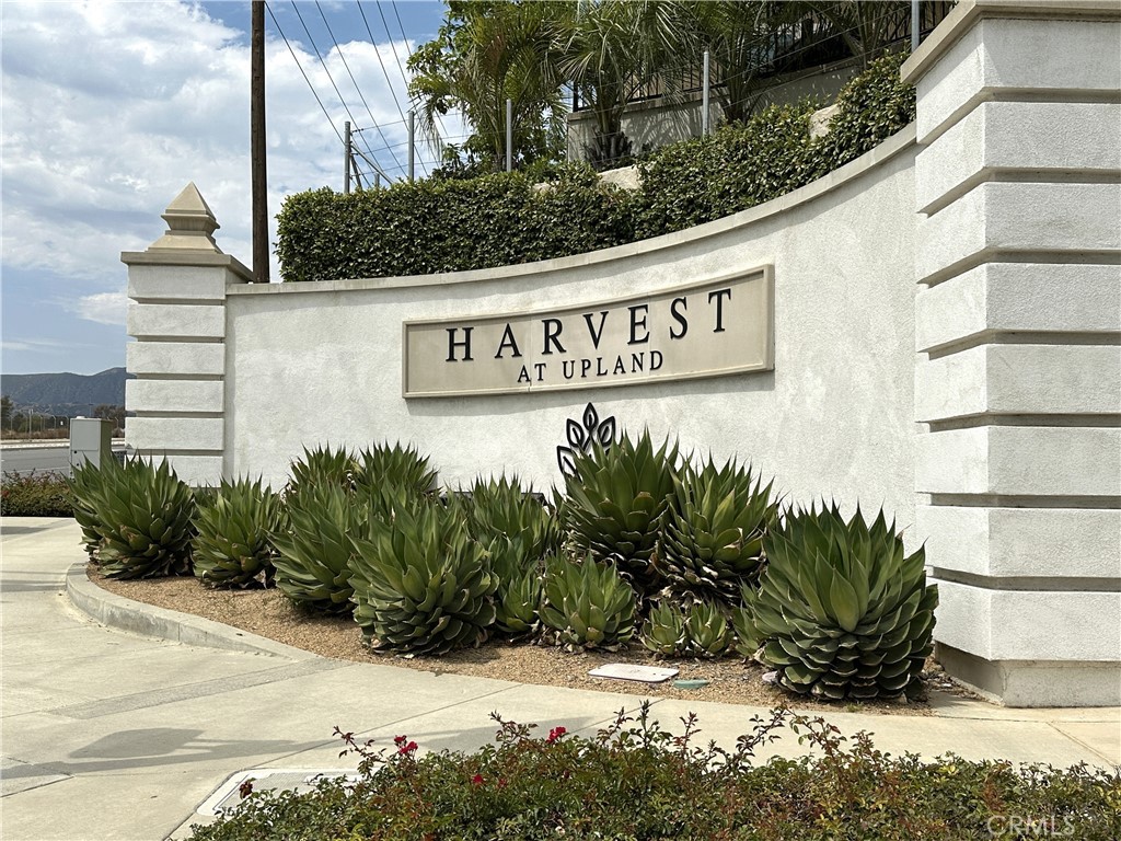839 Cranberry Way