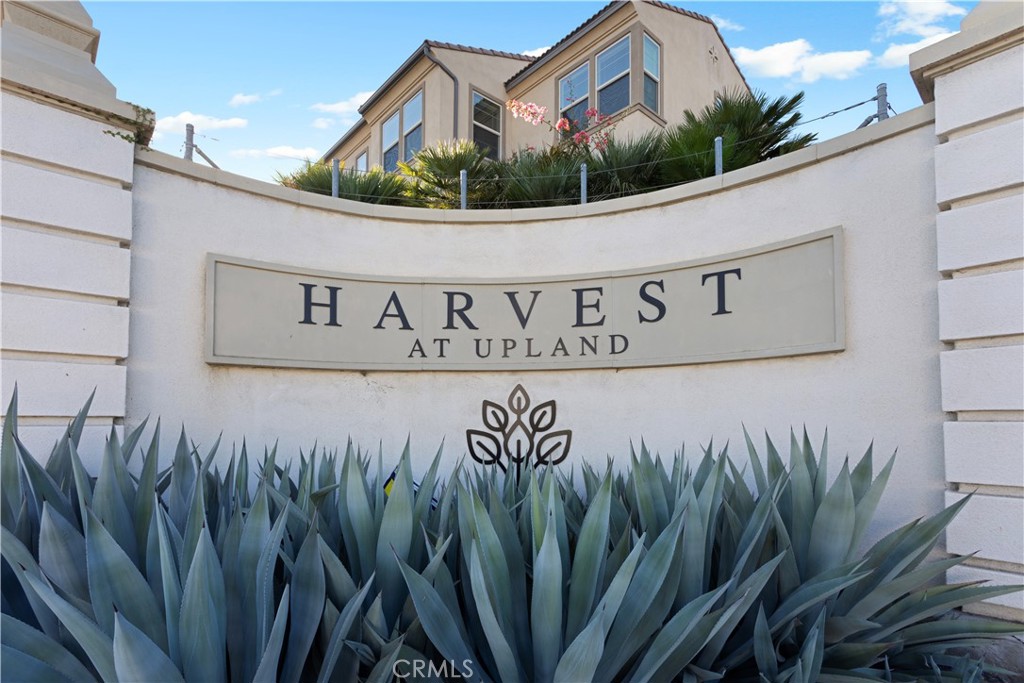 839 Cranberry Way