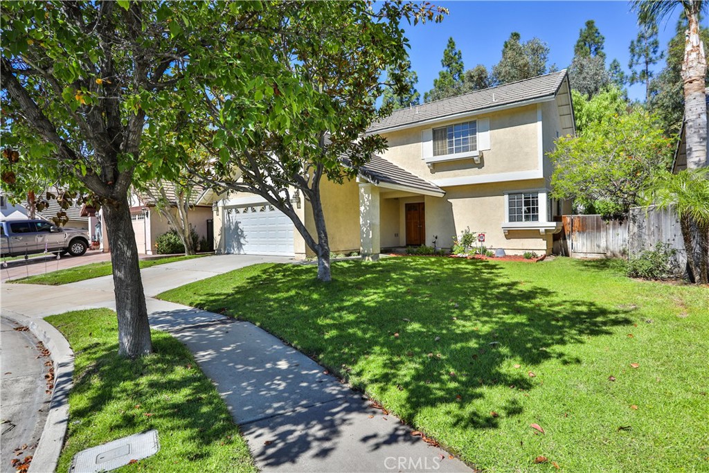 11532 Mammoth Peak
