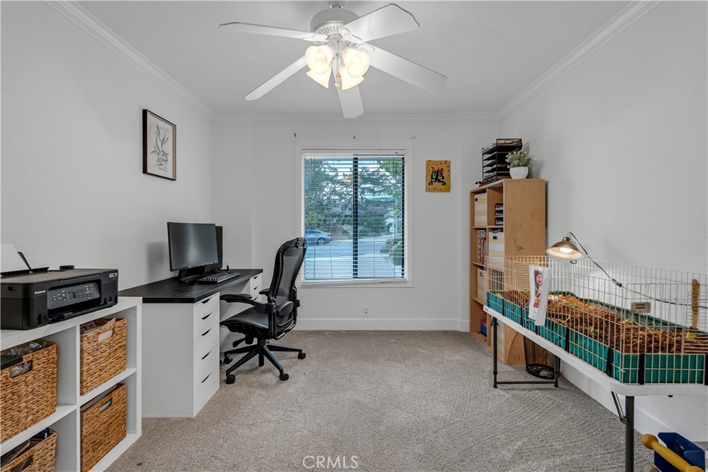 2120 Capuchin Way